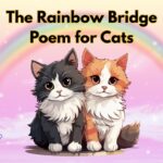 The Rainbow Bridge Poem for Cats illustrated title card featuring two adorable cartoon cats - one gray and white, one orange and white - sitting together beneath a colorful rainbow on a soft pink sky background with purple flowers